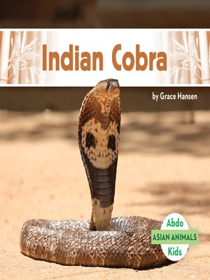 cover image of Indian Cobra